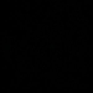 Meet your Posher, Junior